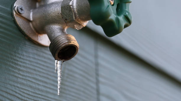 Best Plumbing Services Near Me  in Chesapeake Ranch Estates, MD